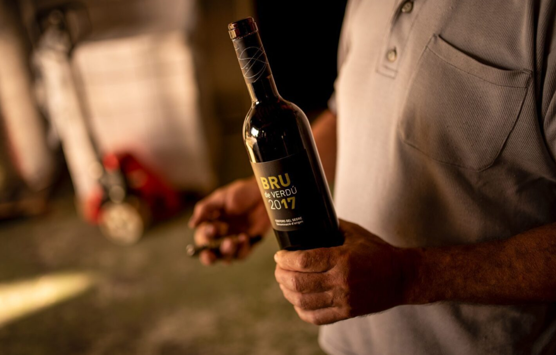 Rutas del Vino de Lleida: Una inmersión en la cultura del vino. Descubre las bodegas de la región y disfruta de catas de vinos únicos. Es una oportunidad para una inmersión en la cultura vinícola de Lérida. Vino , paisaje y gastronomía De norte a sur, la ruta recorre aquellos municipios donde se elaboran los vinos de la Denominación de Origen Costers del Segre, un sello que abarca desde las montañas del Pallars Sobirà hasta los campos del Segrià y las Garrigues, pasando por la Noguera, el Urgell y el Pla d’Urgell. Conociendo la cultura del vino, conoceremos todavía mejor estas tierras. Un paseo por la gastronomía, la cultura y la geografía leridanas con sus bodegas como hilo conductor que nos permitirá visitar los principales atractivos paisajísticos y monumentales de cada zona y realizar actividades complementarias. La ruta incluye una selección de restaurantes que representan la cocina leridana, tan diversa como lo es su territorio. Desglosada en siete subzonas, la D.O. Costers del Segre incluye las siguientes bodegas: Subzona de Artesa de Segre: Celler del Montsec, Vinya l’Hereu de Seró, Vall de Baldomar, Bodegas Costers del Sió, Agropecuària les Pletes, Celler La Figuera, Casa Patau y Mas Ramoneda. Subzona del Urgell: Castell del Remei. Subzona de las Garrigues: Cérvoles Celler, Clos Pons, Mas Blanch i Jové, Tomàs Cusiné, Vinya els Vilars y Celler Matallonga. Subzona del Pallars: Bodegas Vila Corona, Castell d’Encús, Sauvella, Celler Batlliu de Sort, Mas Garcia Muret. Subzona de Raimat: Raimat (Grupo Codorniu). Subzona del Segrià: Torres de Sanui y Lagravera. Subzona de los Valles del río Corb: Carviresa, Monestir del Tallat, Casa Pardet, La Planeta Comalats, L’Olivera, Celler Cercavins, Analec, Cal Cabo Celler, Mas de Mora y Celler Petit Duran. Más información: Ruta del Vino de Lleida Consejo Regulador D.O. Costers del Segre