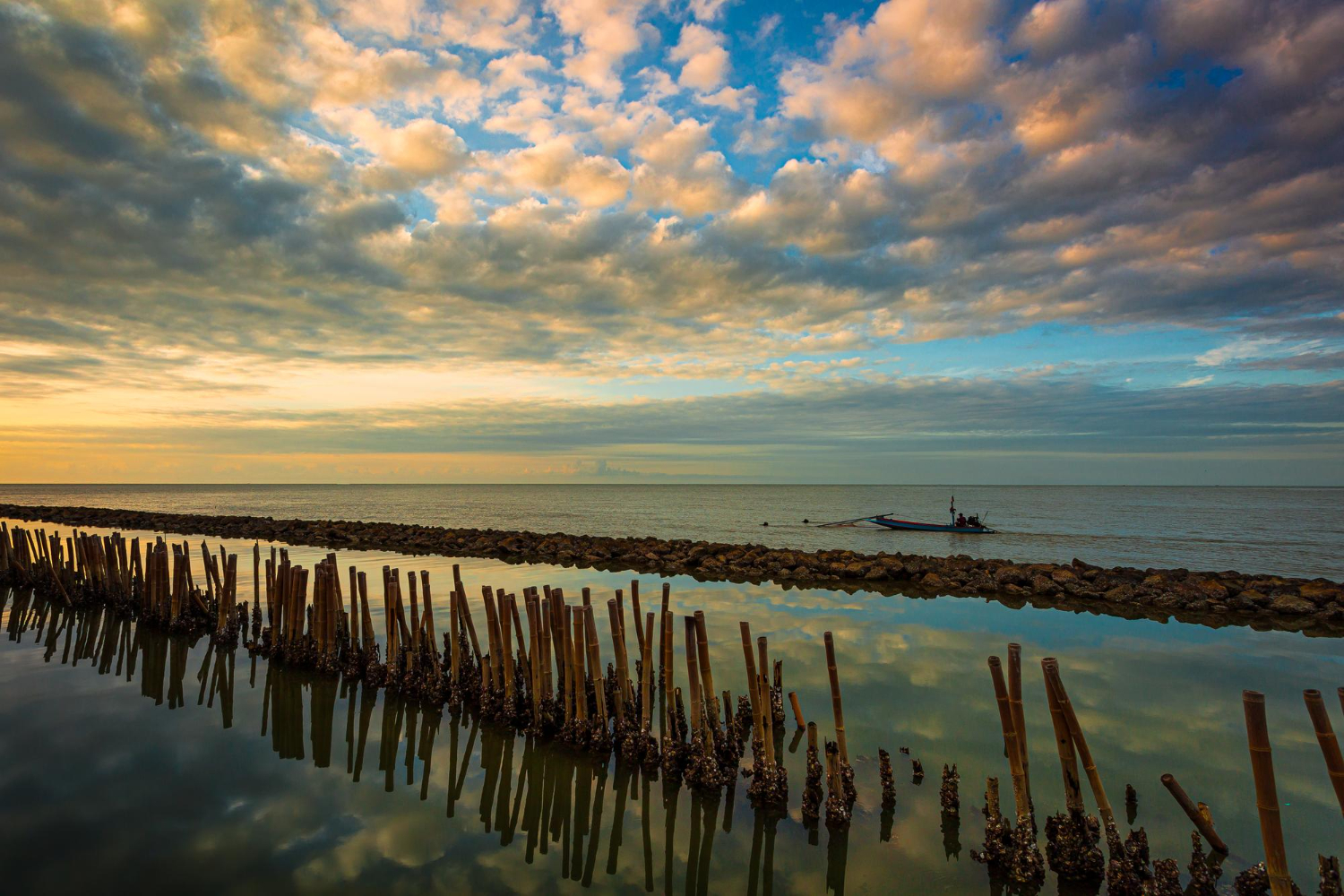 8377 Ruta en bici eléctrica por el Delta del Ebro: entre arrozales y playas vírgenes, una experiencia perfecta para compartir en Breemfy ¿Buscas una experiencia diferente en Tarragona que te conecte con la naturaleza, te mantenga activo y, además, te permita ganar dinero real compartiéndola en Breemfy? La ruta en bici eléctrica por el Delta del Ebro, recorriendo arrozales infinitos y playas vírgenes con la compañía de un guía local, es una aventura inolvidable para publicar y recomendar. Pedaleando entre arrozales y naturaleza El Delta del Ebro es un paraíso natural famoso por sus paisajes cambiantes y su biodiversidad. Emprender una ruta en bicicleta eléctrica te permite recorrer largas distancias de forma fácil y sostenible, disfrutando de caminos flanqueados por campos de arroz, canales de agua dulce y una sorprendente variedad de aves acuáticas. La presencia de un guía local aporta valor, ya que comparte historias, datos curiosos y te lleva por rutas poco conocidas que sólo los expertos de la zona dominan. Descubre playas vírgenes y rincones secretos El recorrido incluye paradas en playas solitarias y dunas naturales, lejos de las masificaciones. Aquí el Mediterráneo se muestra puro y en calma, ideal para descansar, contemplar el horizonte o captar imágenes espectaculares aptas para tus publicaciones en Breemfy. Además, el guía te enseñará a identificar la flora y fauna autóctona, haciendo que la experiencia sea tan educativa como entretenida. Comparte y gana con Breemfy Graba vídeos mientras pedaleas, toma fotos panorámicas de los arrozales, describe las sensaciones de libertad y descubrimiento… y compártelo todo en Breemfy. Al publicar tu aventura, tu testimonio puede inspirar a otros viajeros y usuarios, y cada vez que tu recomendación facilite una reserva o experiencia similar, podrás generar ingresos reales. Cuanto más auténtico, detallado y visual tu contenido, más valor tendrá para la comunidad. Siente el Delta, vive Breemfy No hace falta ser un ciclista experimentado: las bicis eléctricas adaptan el nivel de esfuerzo y permiten que familias, parejas o grupos de amigos disfruten juntos de una jornada activa, saludable y respetuosa con el entorno. Aprovecha la oportunidad de convertir una simple excursión en una narrativa atractiva y lucrativa. ¿Listo para descubrir el Delta del Ebro de la forma más original, ecológica y rentable? Sube a tu bici, recorre arrozales y playas salvajes, y comparte tu experiencia en Breemfy. Encuentra, vive y monetiza tu próxima gran aventura.