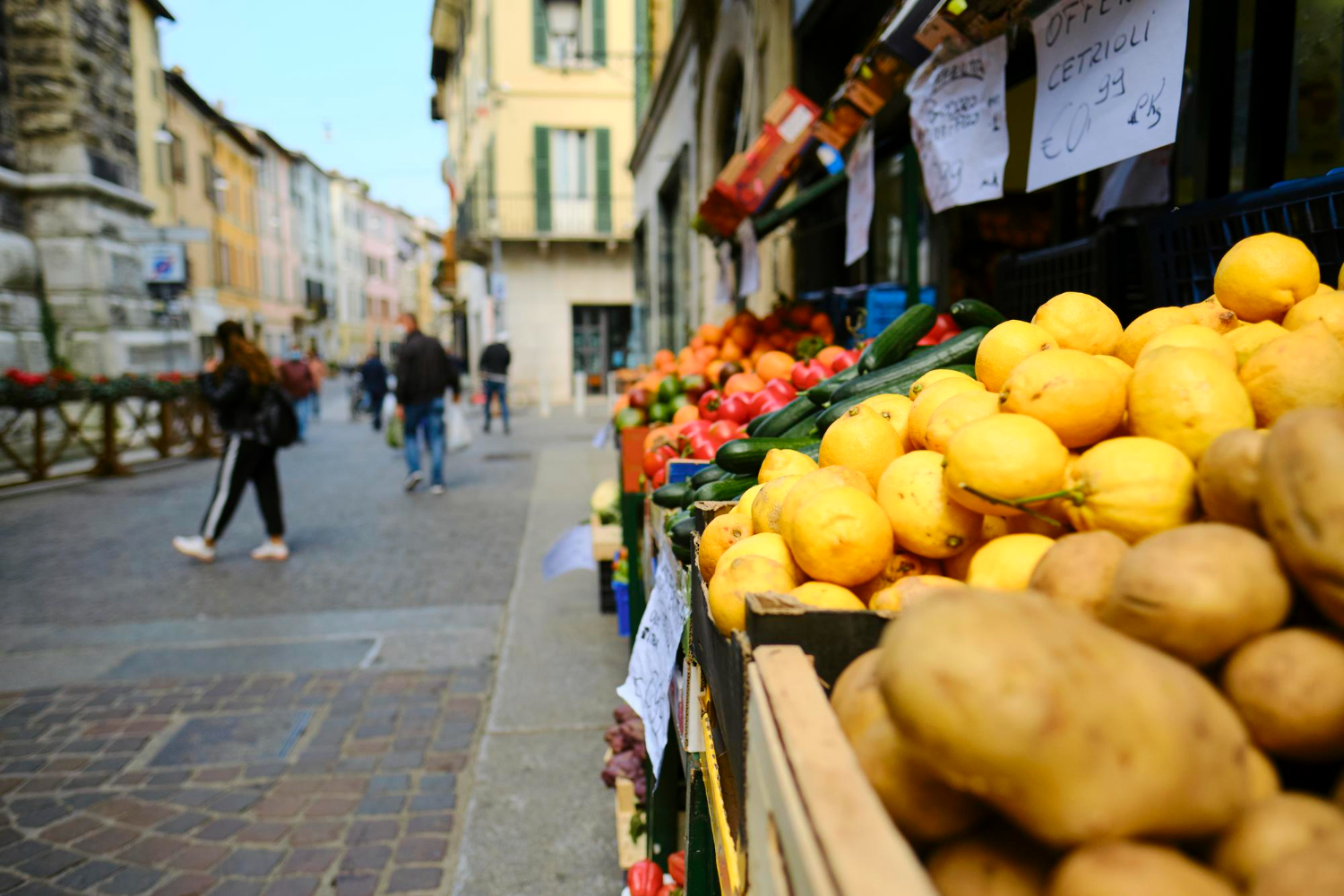 Tour gastrocultural por los mercados modernistas de Tarragona: Cambrils, Tortosa y Reus para compartir y ganar en Breemfy ¿Buscas una actividad diferente y especial para publicar en Breemfy, la app que te permite ganar dinero real compartiendo tus experiencias? El tour gastrocultural por los mercados modernistas de Cambrils, Tortosa y Reus es el plan perfecto para foodies, viajeros curiosos y apasionados por la cultura local. Descubre la arquitectura y la esencia de los mercados El recorrido comienza explorando los emblemáticos mercados modernistas, verdaderos templos gastronómicos que combinan historia, diseño y vida local. Desde los mosaicos y vidrieras de Reus, pasando por los altísimos techos de Tortosa hasta la bulliciosa zona marinera de Cambrils, cada mercado esconde secretos y detalles únicos dignos de ser fotografiados y compartidos. Showcooking y degustación de productos de proximidad La experiencia incluye sesiones de showcooking a cargo de chefs de la zona, donde aprenderás técnicas innovadoras y tradicionales a la vez, utilizando ingredientes frescos y de temporada. Disfruta de una cata de aceites artesanales — verdaderos “oros líquidos” del Mediterráneo — y de productos gastronómicos de proximidad: quesos, embutidos, frutas recién cortadas, dulces típicos y mucho más. Aquí vas a poder grabar vídeos, tomar fotos de los platos elaborados al momento y describir en tu blog Breemfy la interacción directa con productores y cocineros. Cada detalle suma y permite inspirar a la comunidad Breemfy para que disfruten ellos también de propuestas auténticas y locales. Vive, publica y gana con Breemfy Registra los mejores momentos del tour, narra tu experiencia en primera persona y comparte reseñas genuinas sobre los sabores, ambientes y el trato recibido. Cuanto más visual y personalizado sea tu contenido, mayor serán tu impacto y las posibilidades de ganar dinero real a medida que otros usuarios se animen, reserven y participen gracias a tu post en Breemfy. Breemfy: el valor de la experiencia auténtica El tour gastrocultural por Cambrils, Tortosa y Reus es mucho más que un paseo; es un viaje sensorial donde la arquitectura, la gastronomía y el trato humano se unen para ofrecer una vivencia verdaderamente singular. Descubre los mercados, prueba el aceite y los productos locales, aprende de los chefs y comparte tu aventura para que otros también la disfruten… y tú la monetices. ¿Dispuesto a convertir la cultura y la cocina de Tarragona en tu próxima experiencia rentable? Únete a Breemfy, publica, comparte y gana, mientras saboreas la esencia del territorio.